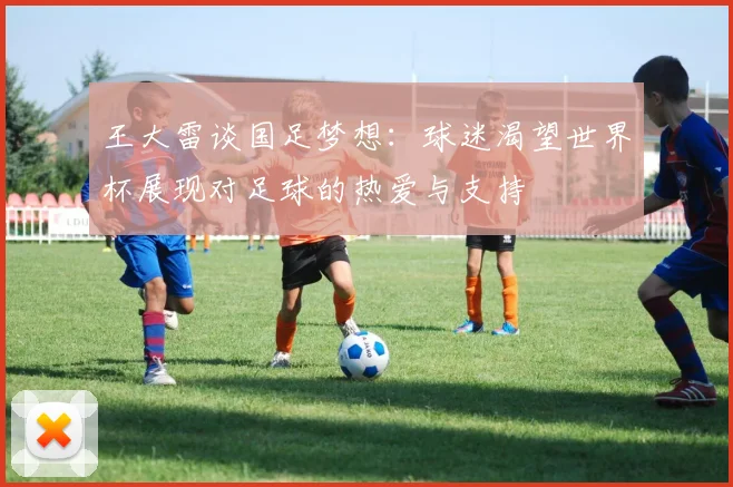王大雷谈国足梦想：球迷渴望世界杯展现对足球的热爱与支持