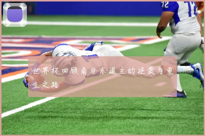 世界杯回顾南非东道主的逆袭与重生之路