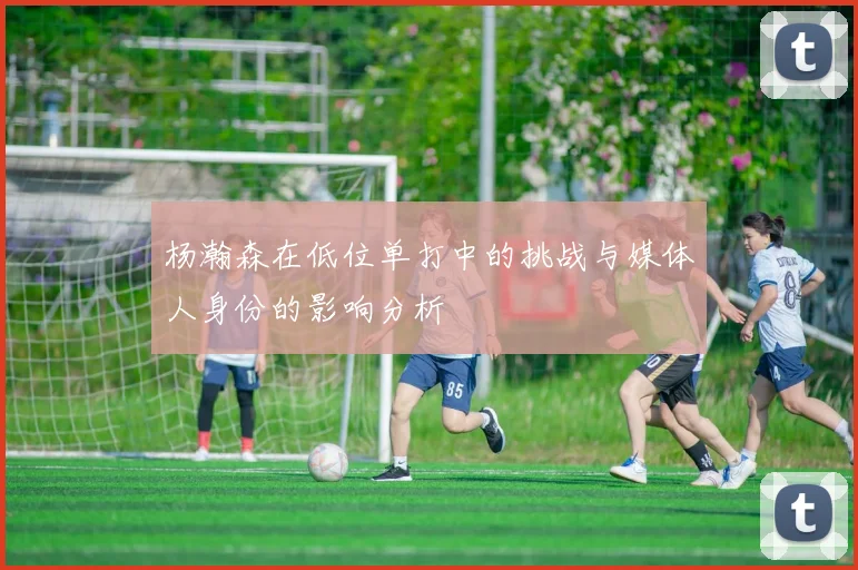 杨瀚森在低位单打中的挑战与媒体人身份的影响分析