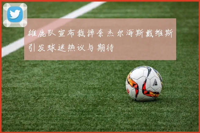 雄鹿队宣布裁掉奈杰尔海斯戴维斯引发球迷热议与期待